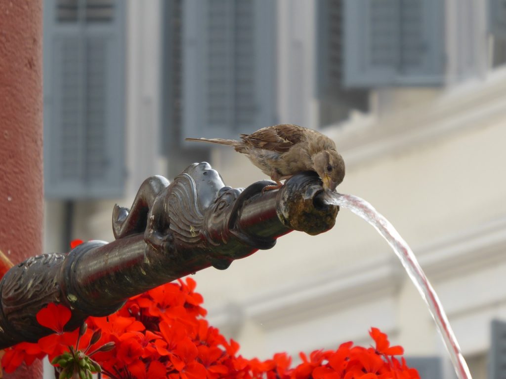 eau-enjeu-vital-pour-la-planete-verneco-environnement-quotidien