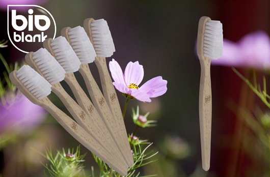 brosse-dents-bois-ecologique brosse-dents-bois-ecologique-vegan-vannes-bretagne